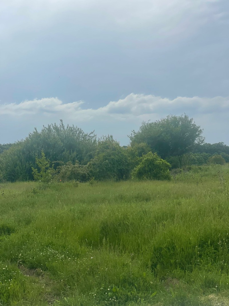 For Sale  Plot region Varna , Goritsa , 1400 sq.m | 88054212