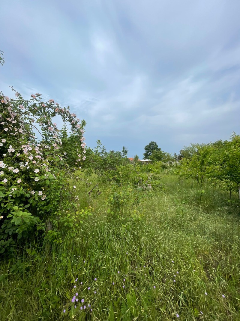 For Sale  Plot region Varna , Goritsa , 1400 sq.m | 88054212 - image [2]