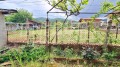 Продава КЪЩА, с. Тополово, област Пловдив, снимка 9