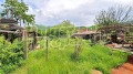 Продава КЪЩА, с. Тополово, област Пловдив, снимка 3