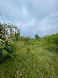 Продава ПАРЦЕЛ, с. Горица, област Варна, снимка 2