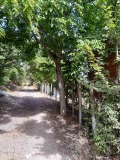 Продава КЪЩА, област Хасково, гр. Димитровград • 29500 лв. / 15083.11 € • 86472576 2