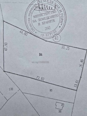 ����� ������� ������,�. �������, ������ ������