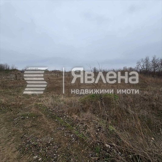 Продава ПАРЦЕЛ, с. Новоселци, област Видин, снимка 2 - Парцели - 54419249
