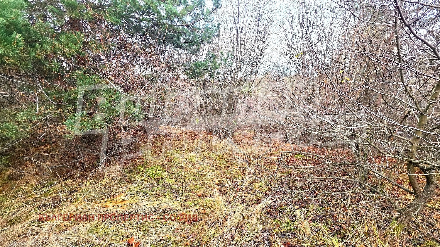 Продава ПАРЦЕЛ, гр. София, с. Железница, снимка 14 - Парцели - 56089213