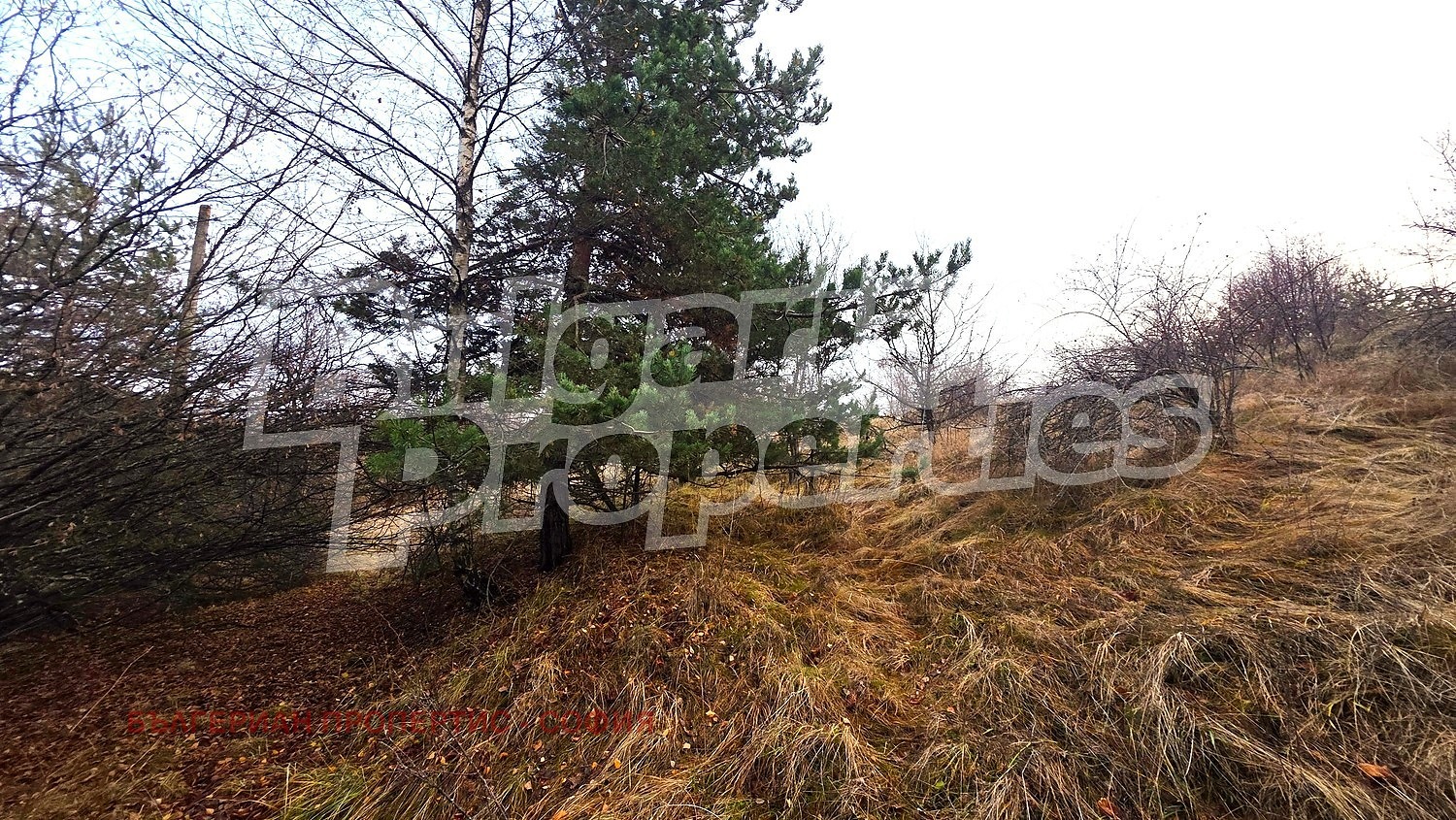 Продава ПАРЦЕЛ, гр. София, с. Железница, снимка 12 - Парцели - 56089213
