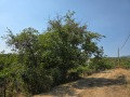Продава ПАРЦЕЛ, с. Боровец, област Кюстендил, снимка 5