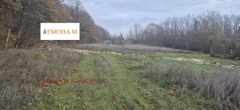 Продава ПАРЦЕЛ в област Варна, с. Кичево - 1025 кв.м / 12 000 € » 23 469.96 лв., ЕМОНА М КОНСУЛТ