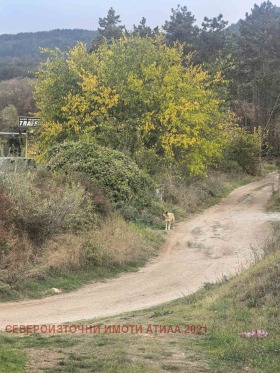 ������� ������ | Imot.bg � ����� ������ 7