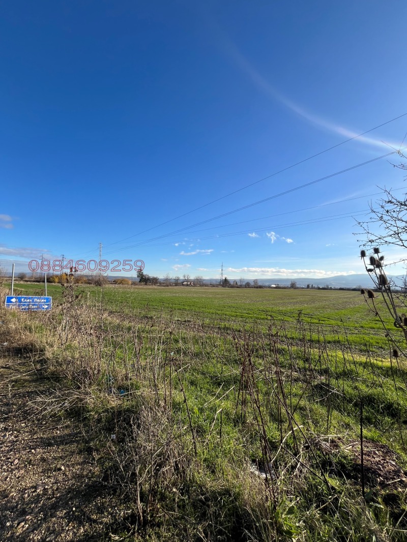 Продава ЗЕМЕДЕЛСКА ЗЕМЯ, гр. Елин Пелин, област София област, снимка 7 - Земеделска земя - 52813746