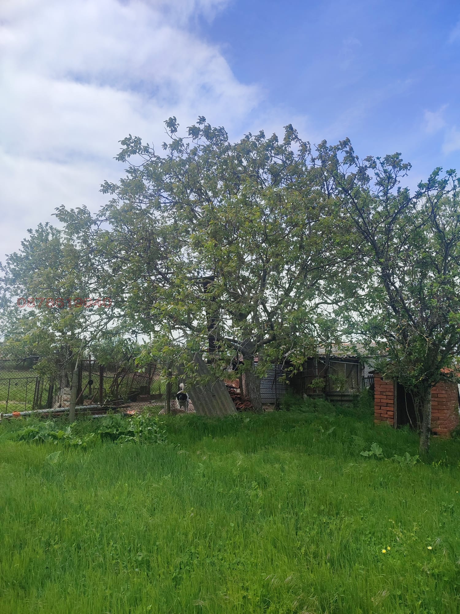 Продава КЪЩА, с. Студена, област Хасково, снимка 12 - Къщи - 54298637