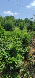 Продава ПАРЦЕЛ, с. Върбица, област Плевен, снимка 3