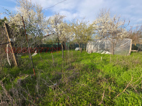 ������� ���� | Imot.bg � ����� ������ 8