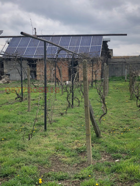 ����� ������� ������,�. ������, ������ ������