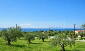 ����� ������� ������,���������, ������