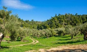 ������� ������ | Imot.bg � ����� ������ 3