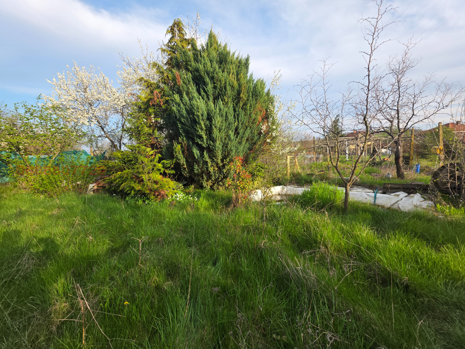 Продава КЪЩА, с. Арнаутито, област Стара Загора, снимка 14 - Къщи - 54255693