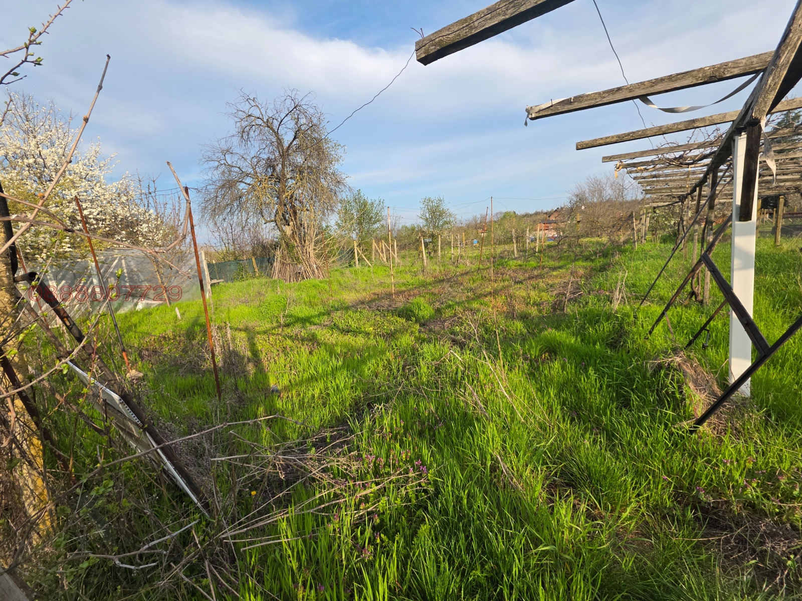 Продава КЪЩА, с. Арнаутито, област Стара Загора, снимка 11 - Къщи - 54255693