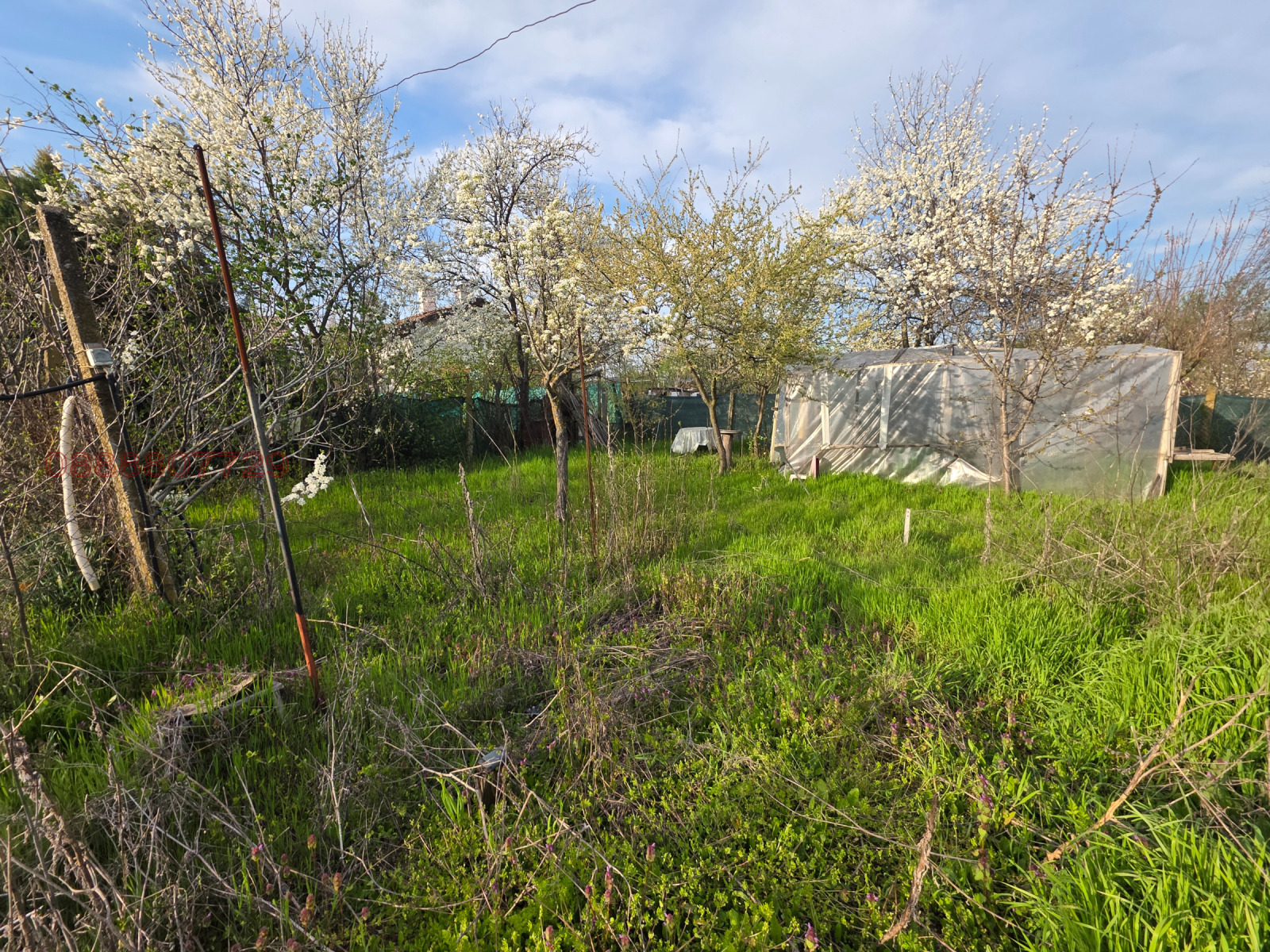 Продава КЪЩА, с. Арнаутито, област Стара Загора, снимка 8 - Къщи - 54255693