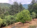 Продава КЪЩА, гр. София, с. Кокаляне, снимка 15