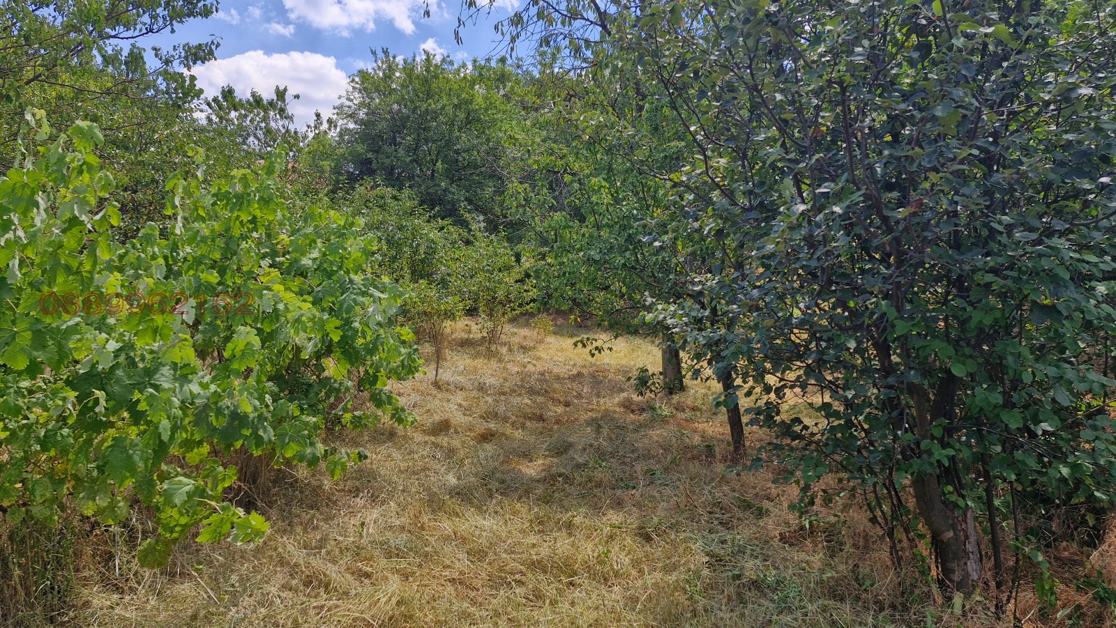 Продава КЪЩА | Imot.bg — изображение 6