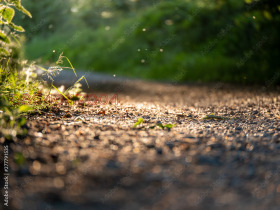 ПАРЦЕЛ, 1 000 000 m2