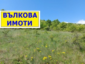 ������ ������� ���������� ����