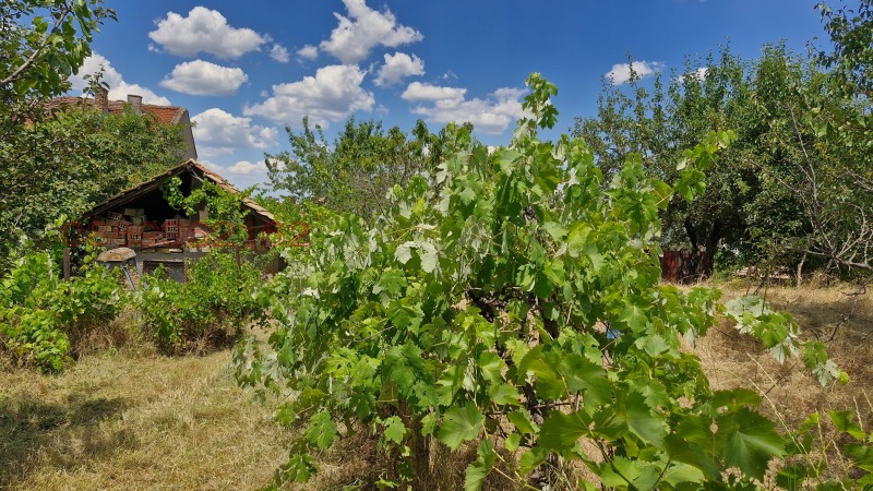 Продава КЪЩА, гр. Омуртаг, област Търговище, снимка 8 - Къщи - 52779958