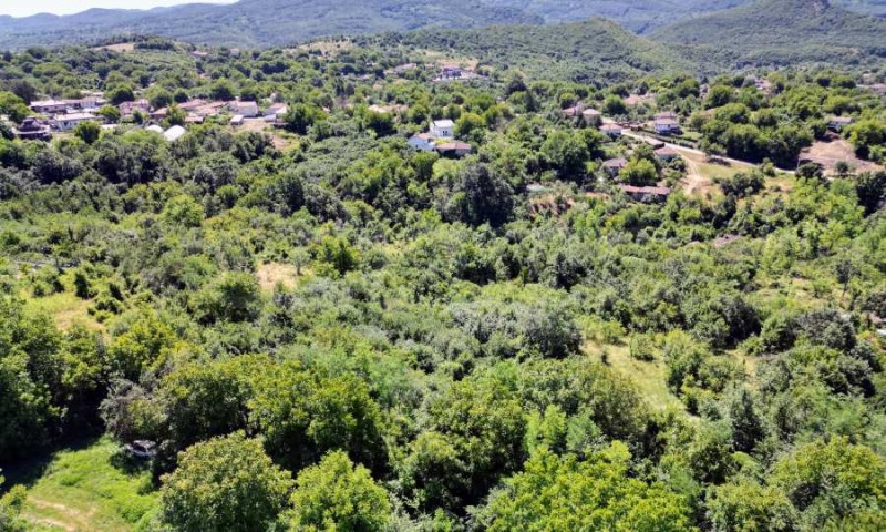 Προς πώληση  Οικόπεδο περιοχή Βέλικο Τάρνοβο , Βετρηντση , 7300 τ.μ | 55648478 - εικόνα [4]