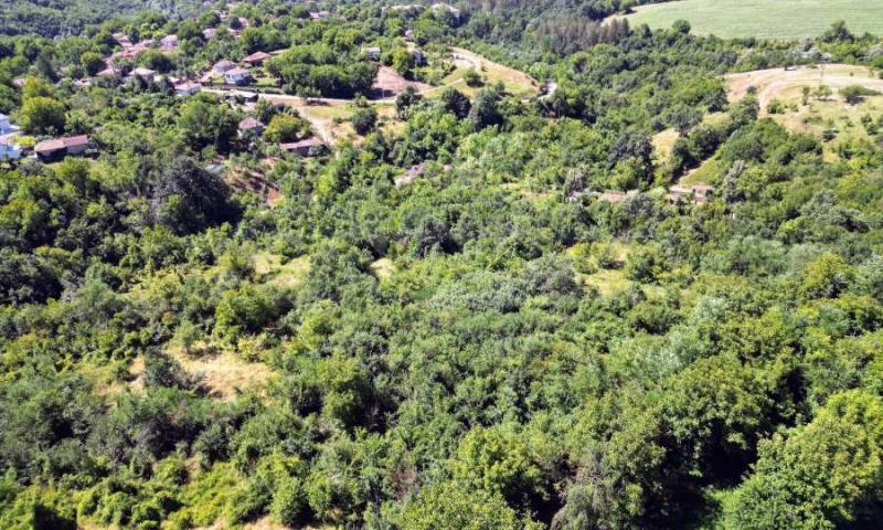 For Sale  Plot region Veliko Tarnovo , Vetrintsi , 7300 sq.m | 55648478 - image [5]