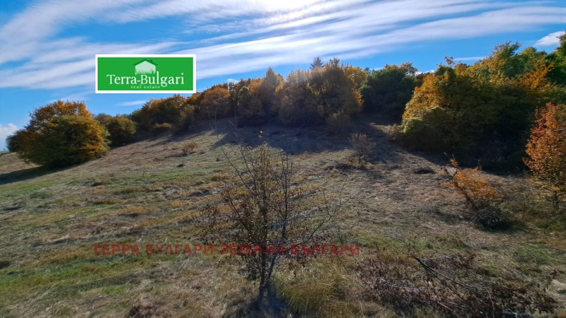 Te koop  Land regio Pernik , Pernik , 3428 dka | 98607840 - afbeelding [3]