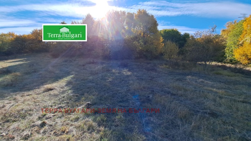 Te koop  Land regio Pernik , Pernik , 3428 dka | 98607840 - afbeelding [8]