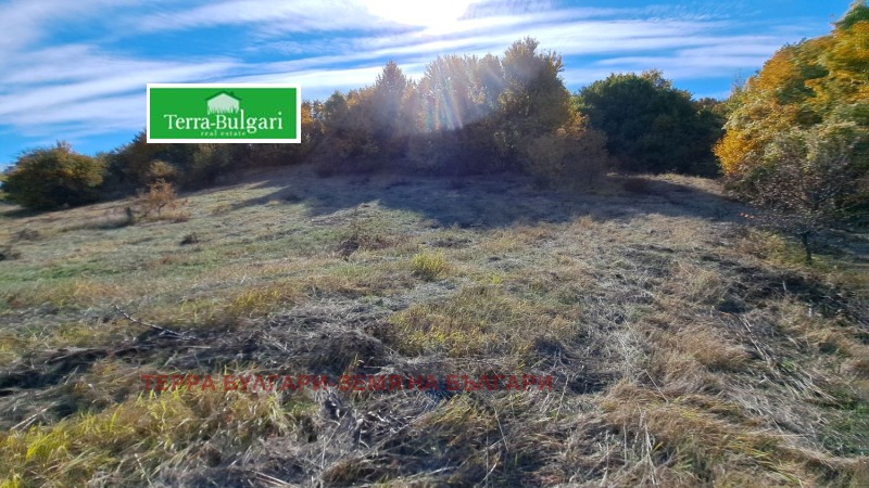 Te koop  Land regio Pernik , Pernik , 3428 dka | 98607840 - afbeelding [5]