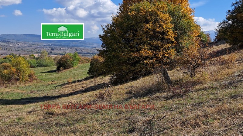 Te koop  Land regio Pernik , Pernik , 3428 dka | 98607840 - afbeelding [6]
