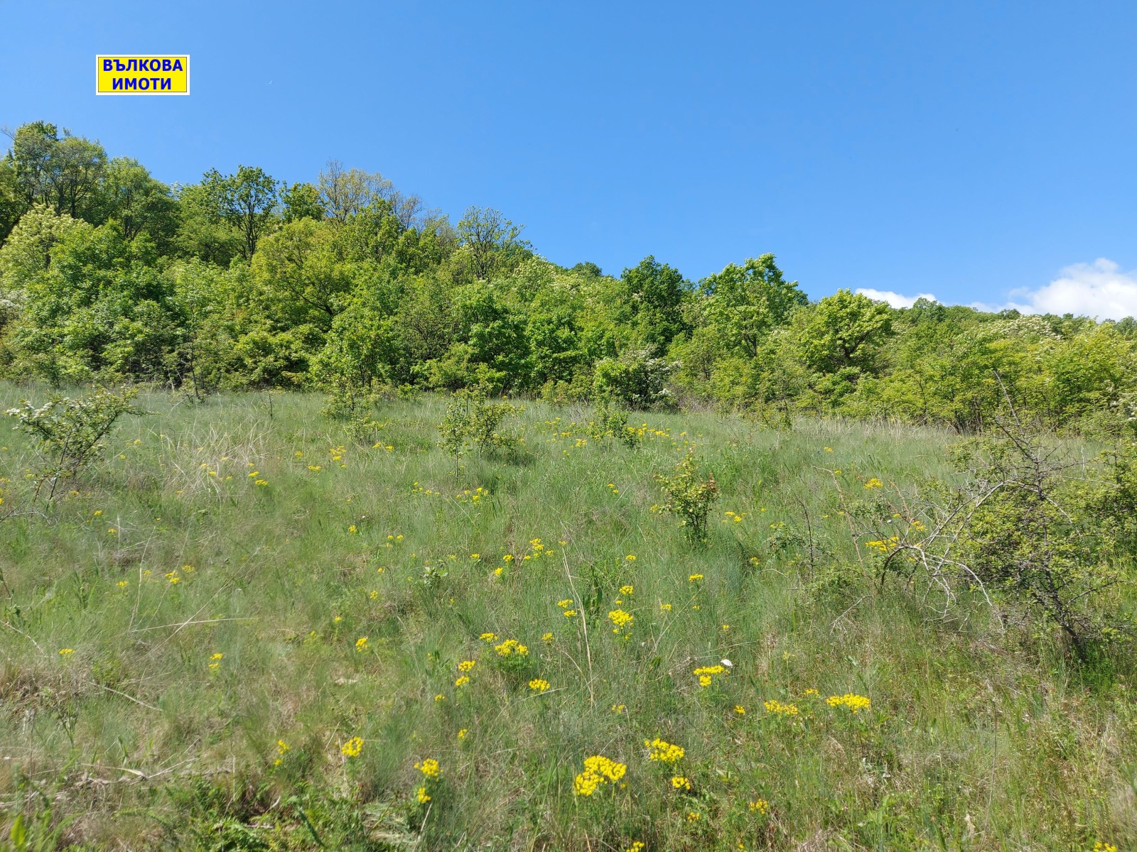 Продава ЗЕМЕДЕЛСКА ЗЕМЯ, с. Малка Верея, област Стара Загора