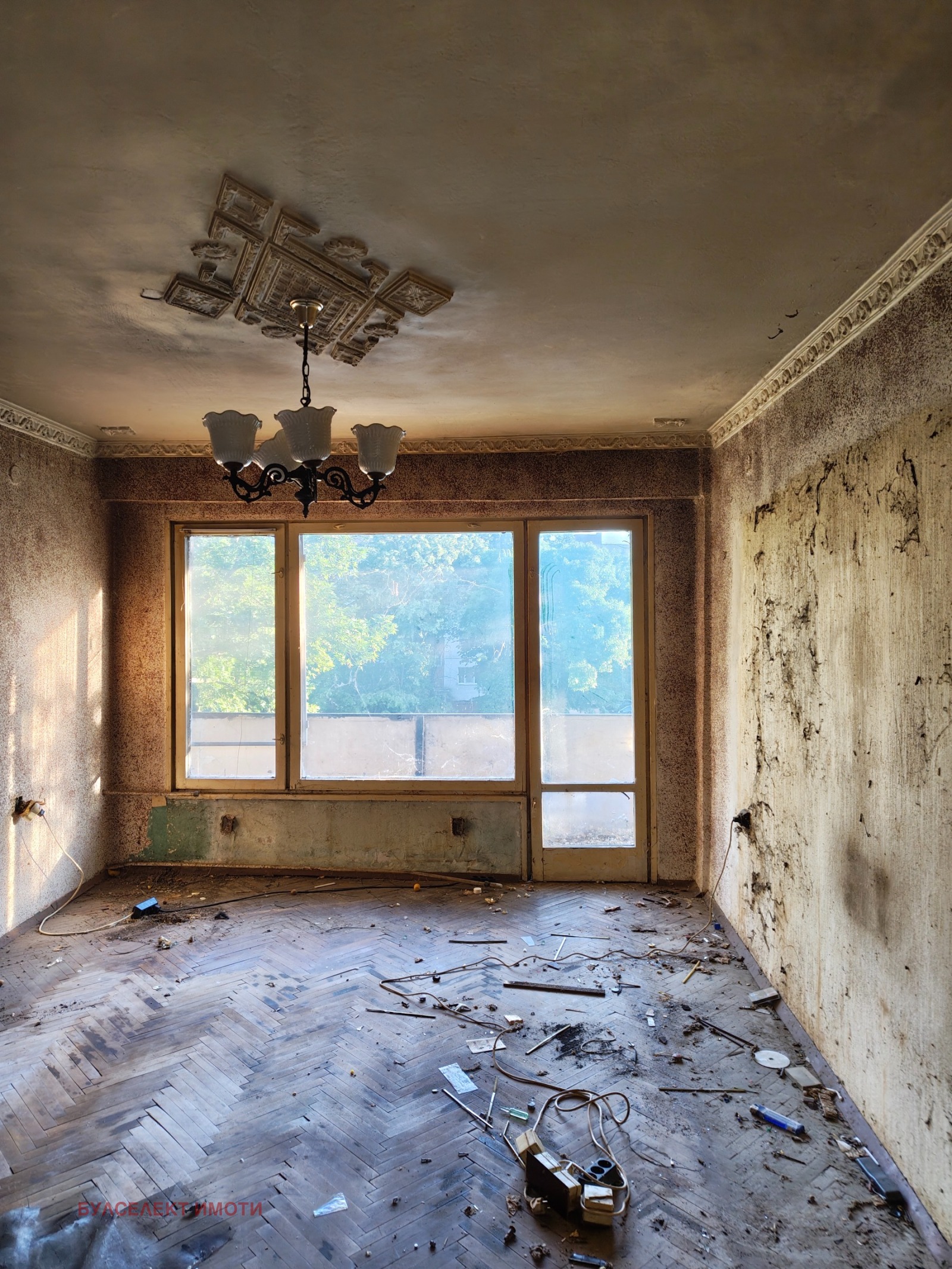 ������� 3-����� | Imot.bg � ����������� 1