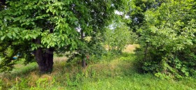 ������� ������ | Imot.bg � ����� ������ 4