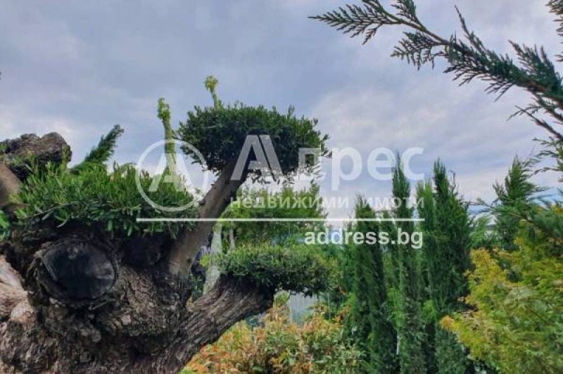 Eladó  1 hálószoba Sofia , Vitosa , 63 négyzetméter | 86705878 - kép [2]