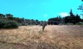 Продава ПАРЦЕЛ, Извън страната, област Извън страната, снимка 2