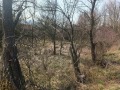 Продава  Парцел област Перник , с. Долна Диканя , 1411 кв.м | 75551228 - изображение [3]