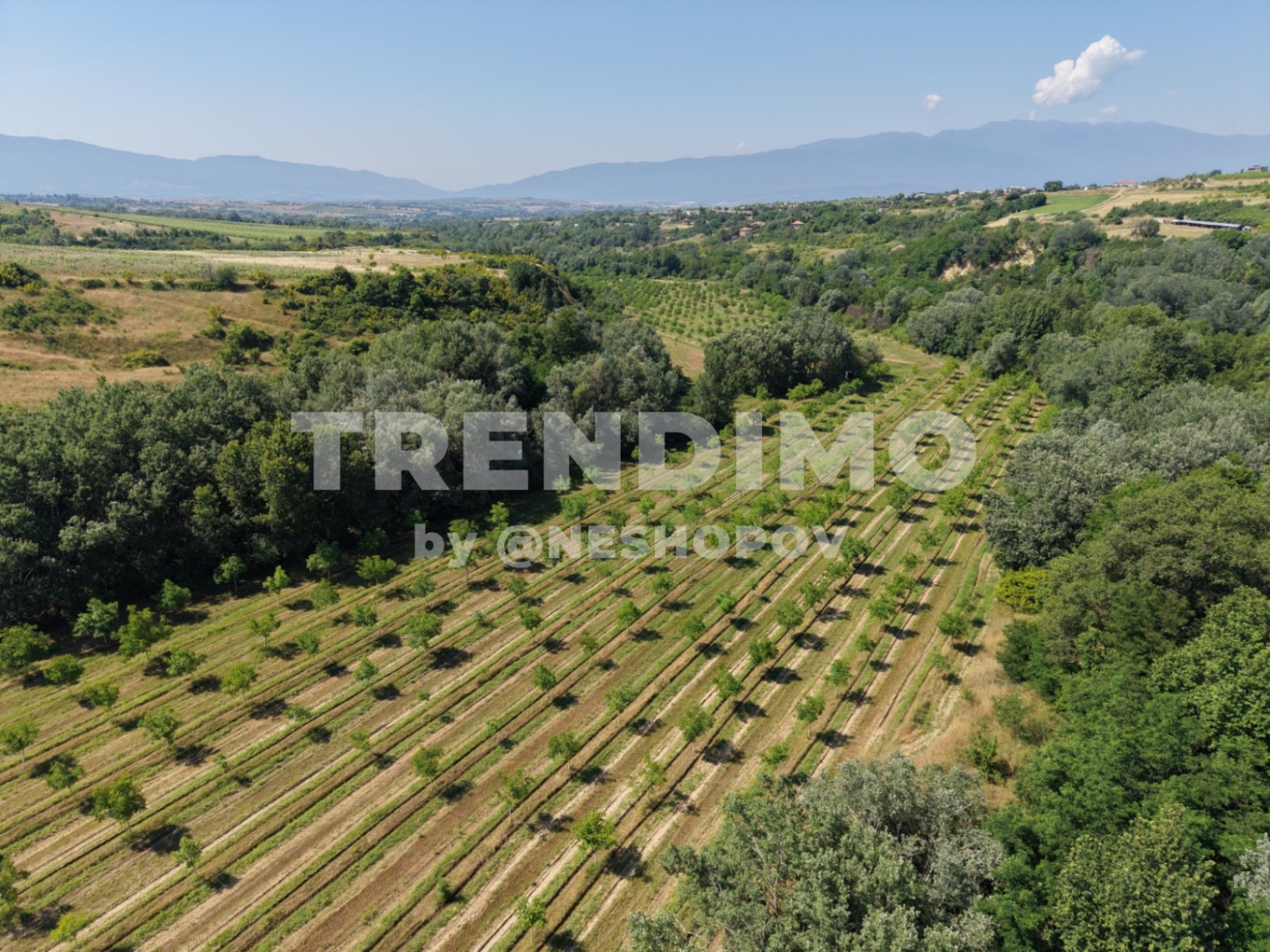 ������� ������ | Imot.bg � ����������� 5