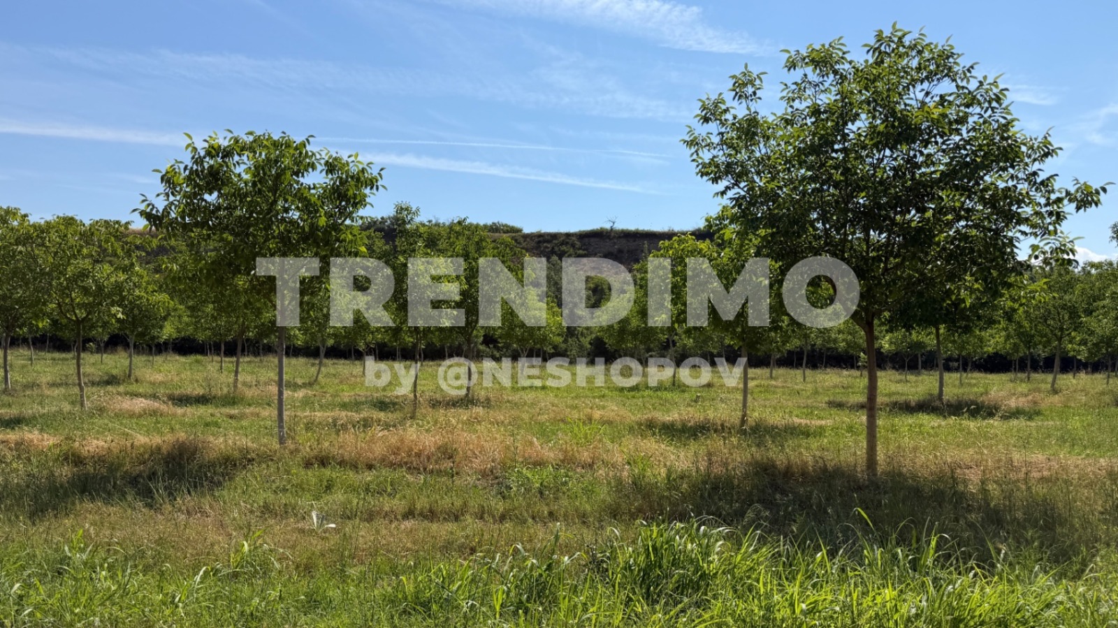 ������� ������ | Imot.bg � ����������� 7