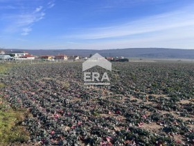 Плот Близнаци, регион Варна