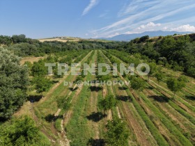 ������� ������ | Imot.bg � ����� ������ 9