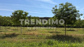 ������� ������ | Imot.bg � ����� ������ 7