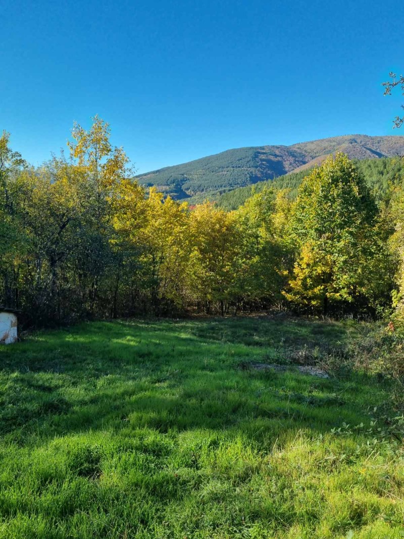 For Sale  Villa region Sofia , Dobarchin , 46 sq.m | 45245866 - image [9]