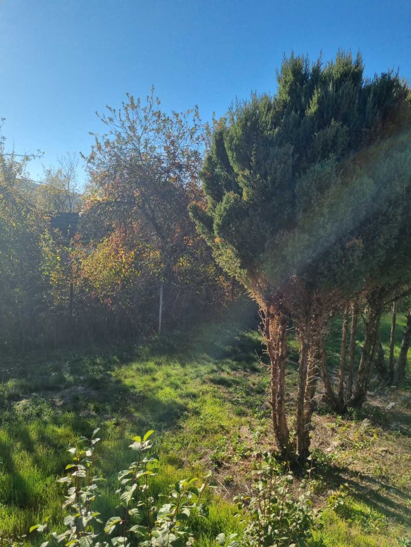 For Sale  Villa region Sofia , Dobarchin , 46 sq.m | 45245866 - image [5]