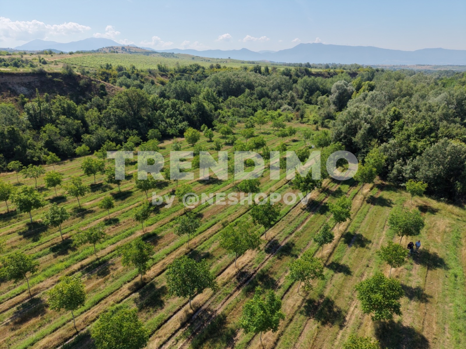 Продава ПАРЦЕЛ, гр. Мелник, област Благоевград