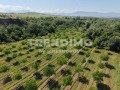 Продава ПАРЦЕЛ, гр. Мелник, област Благоевград, снимка 1
