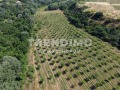 Продава ПАРЦЕЛ, гр. Мелник, област Благоевград, снимка 12